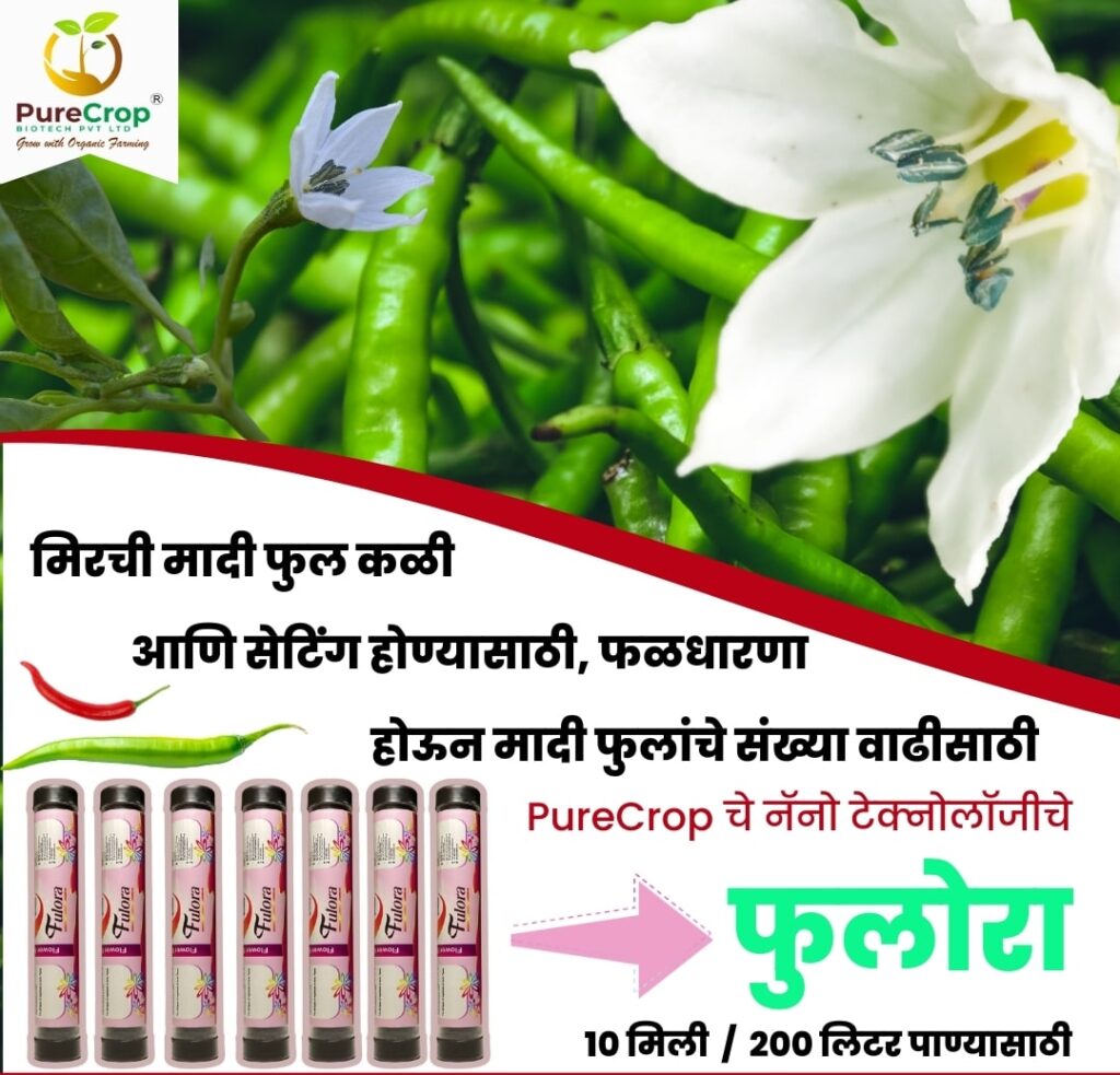 PureCrop Fulora 10 ml | Liquid Fertilizer Fulora | An Organic Solution for Enhanced Flowering